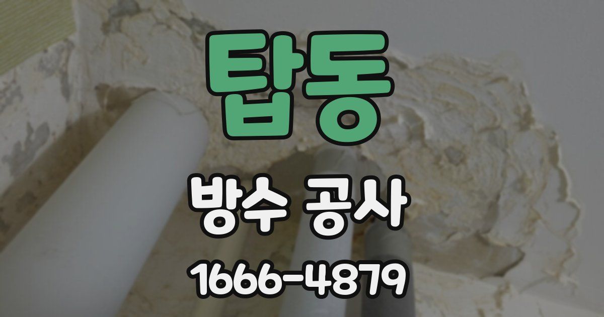 탑동 방수 공사