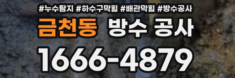 금천동 방수 공사