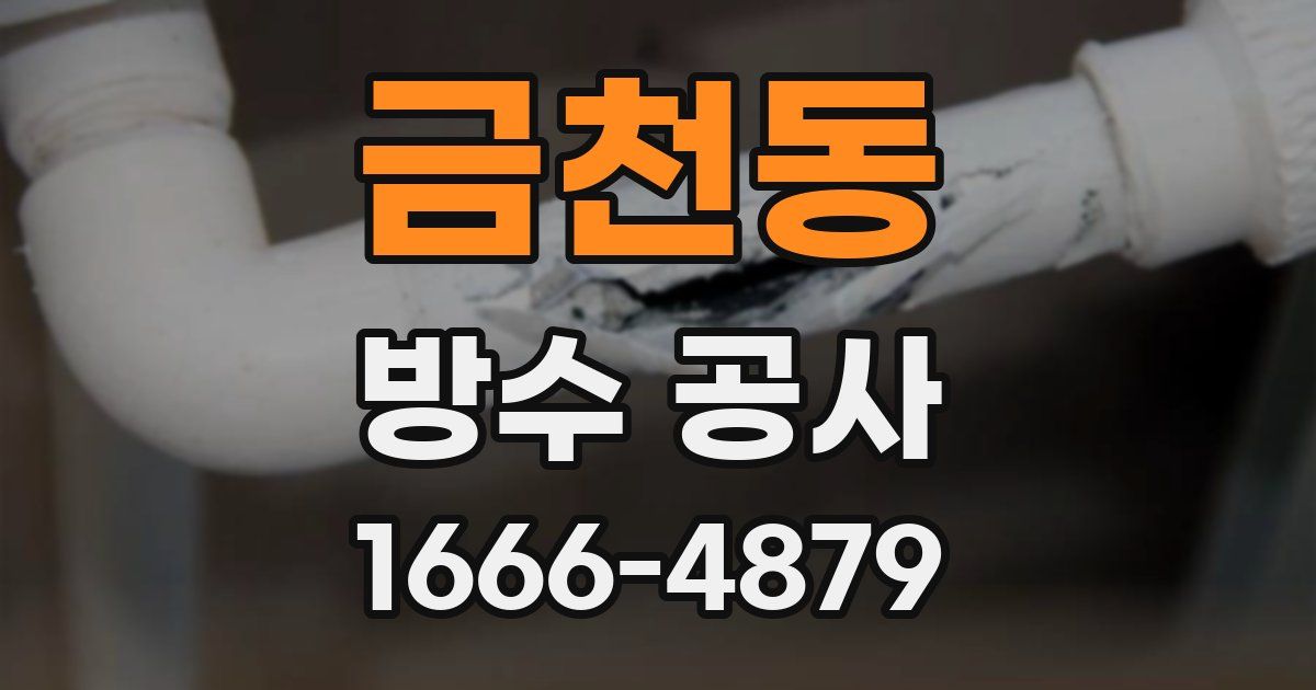 금천동 방수 공사