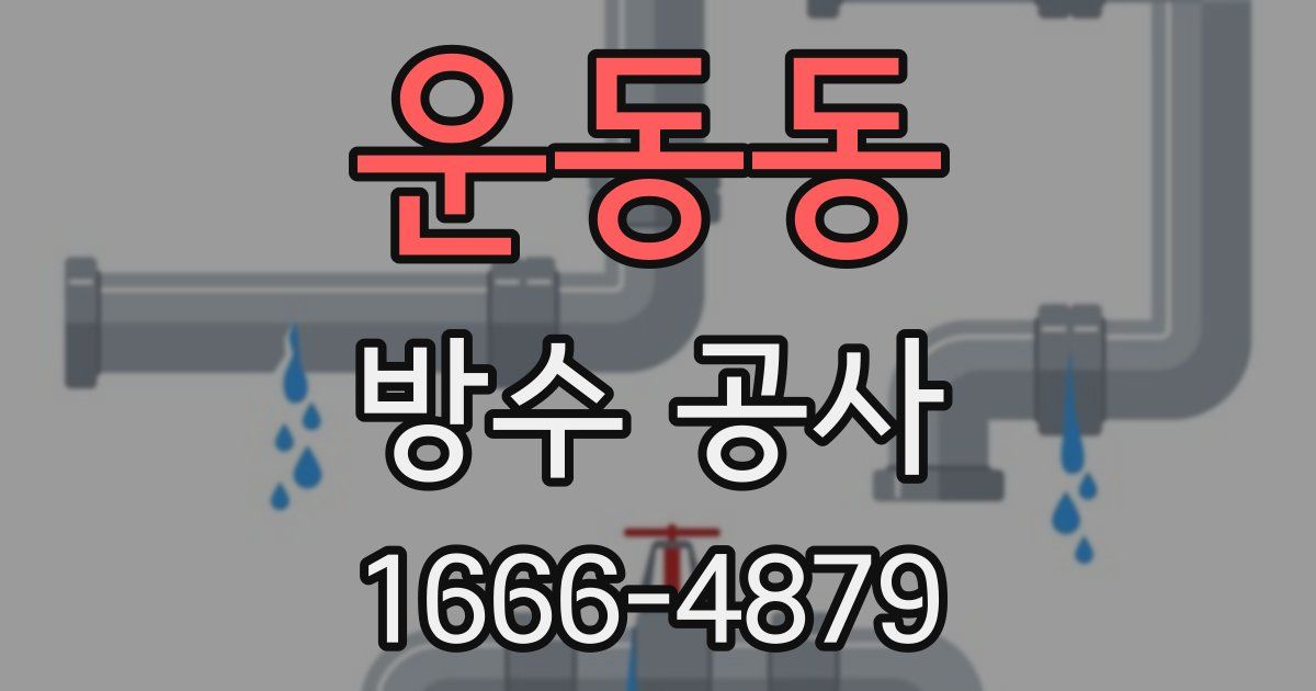운동동 방수 공사