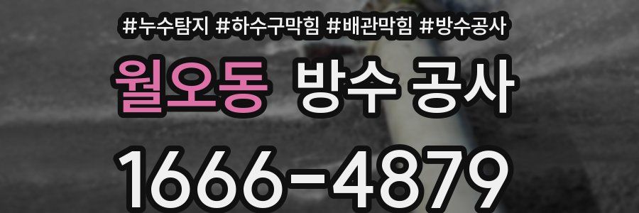 월오동 방수 공사