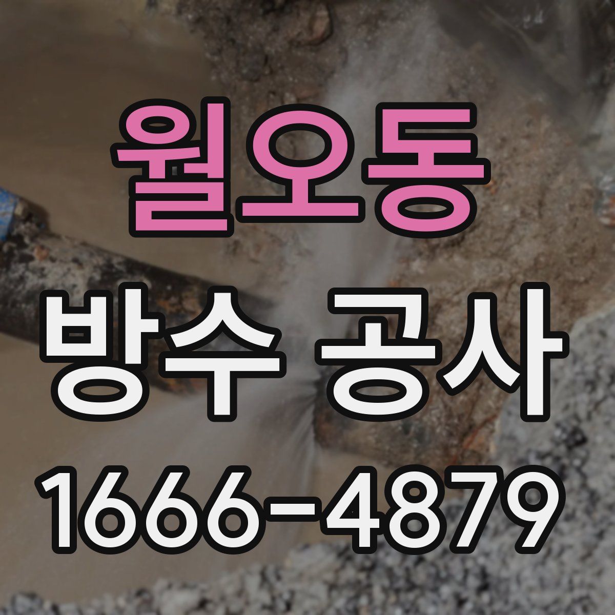 월오동 방수 공사