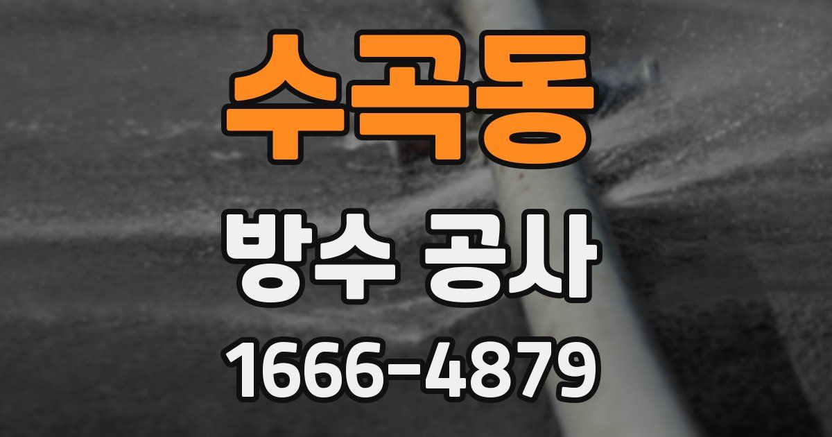 수곡동 방수 공사