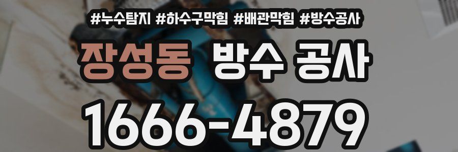 장성동 방수 공사
