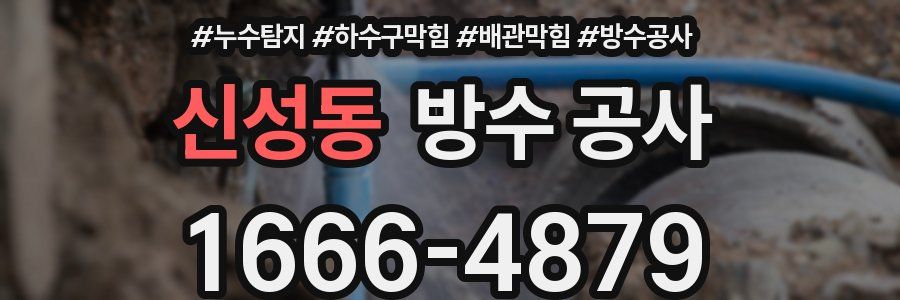 신성동 방수 공사