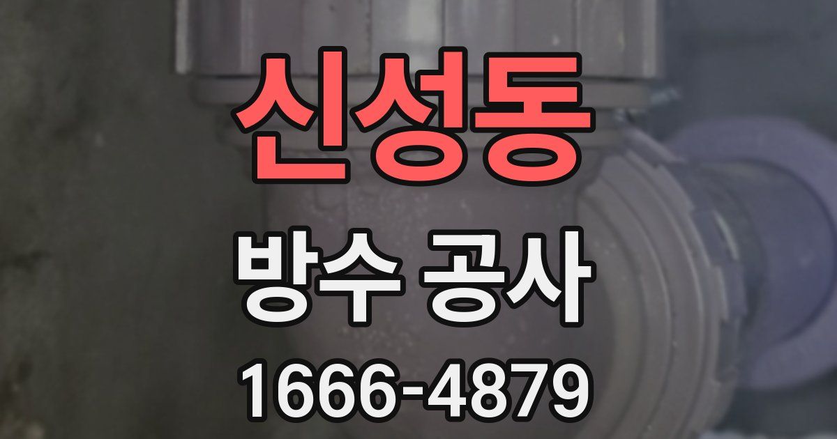 신성동 방수 공사