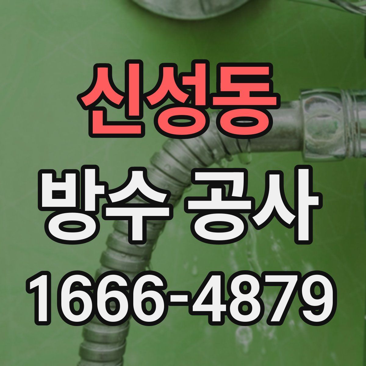 신성동 방수 공사