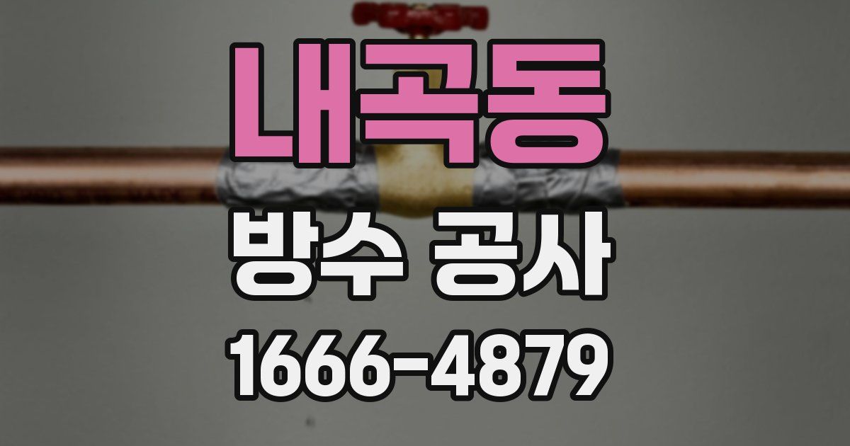 내곡동 방수 공사