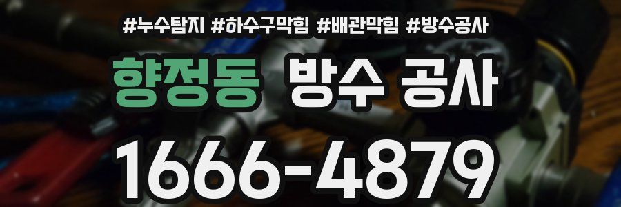 향정동 방수 공사