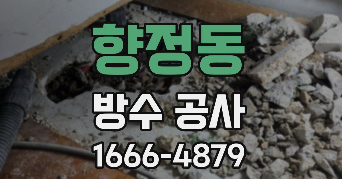 향정동 방수 공사