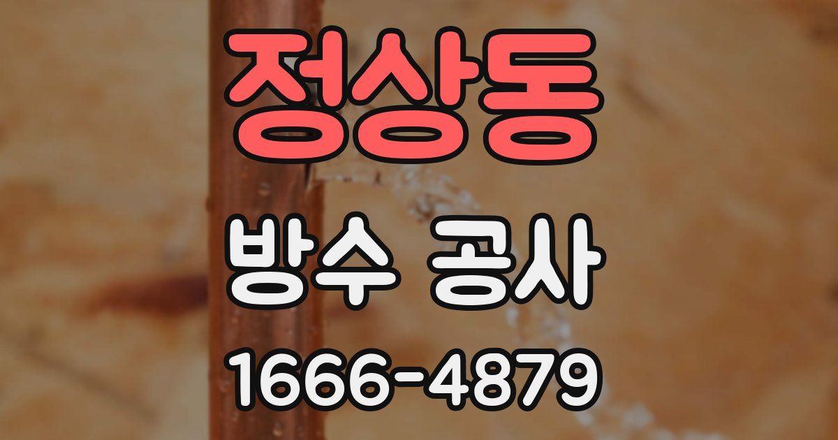 정상동 방수 공사