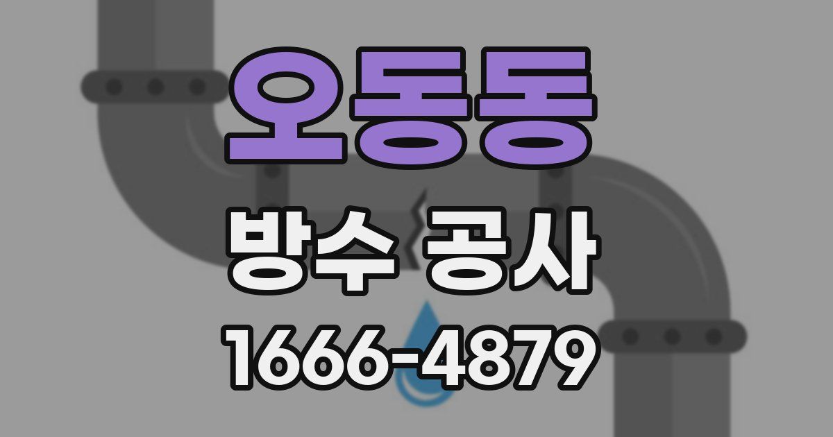 오동동 방수 공사