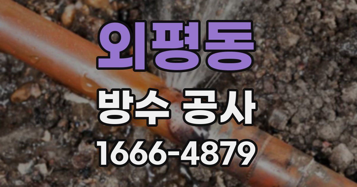 외평동 방수 공사