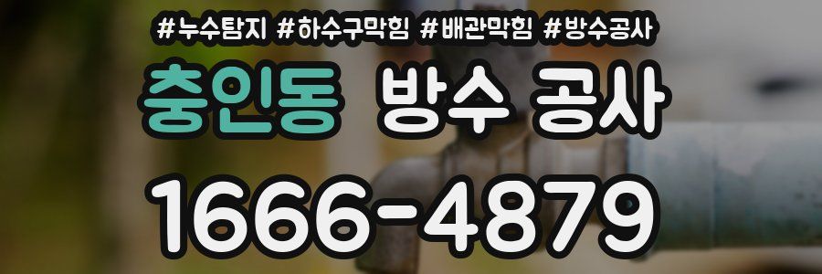 충인동 방수 공사