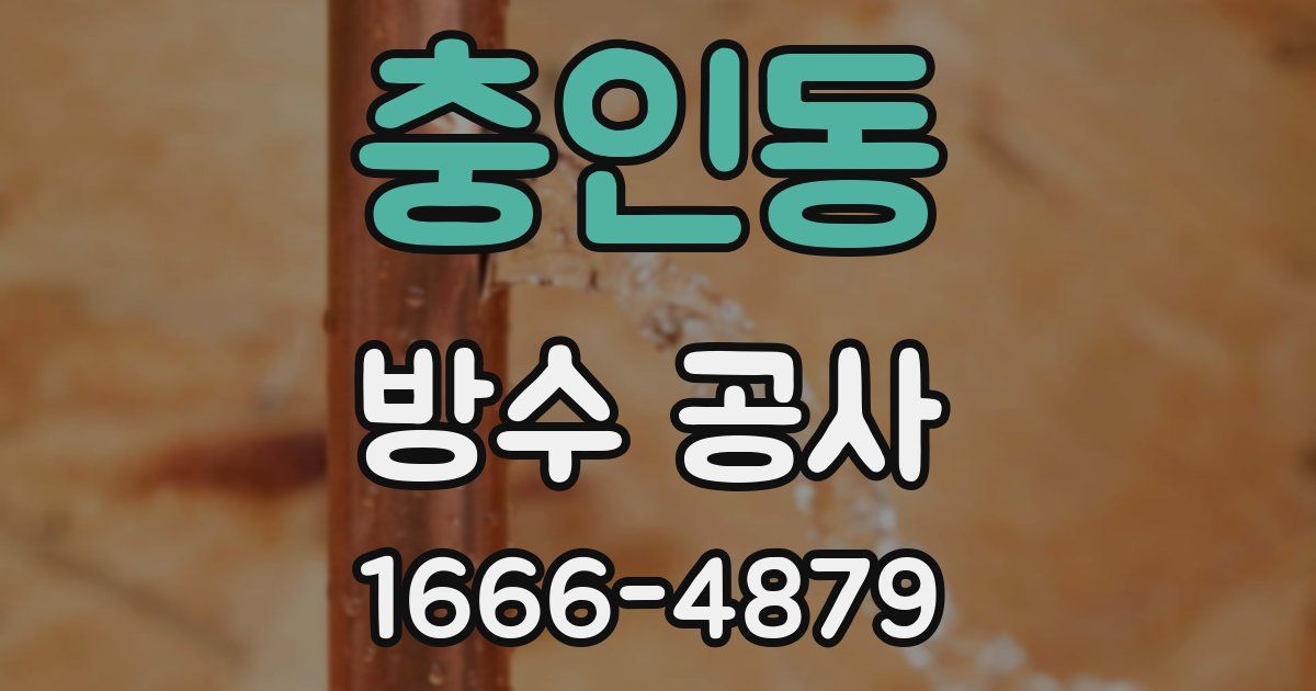 충인동 방수 공사