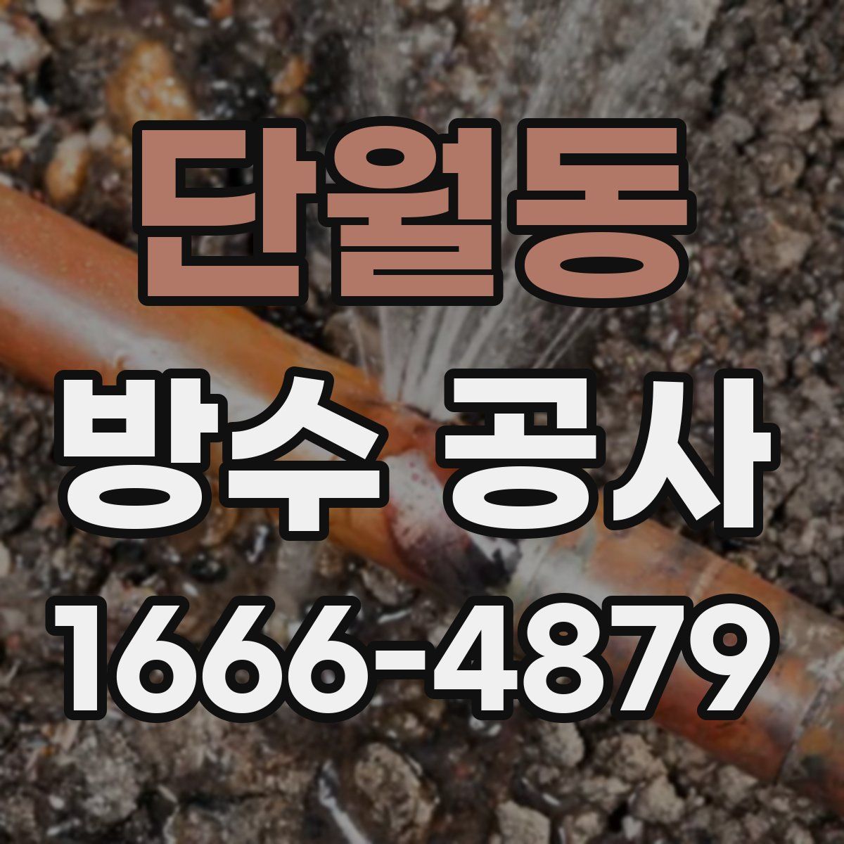 단월동 방수 공사