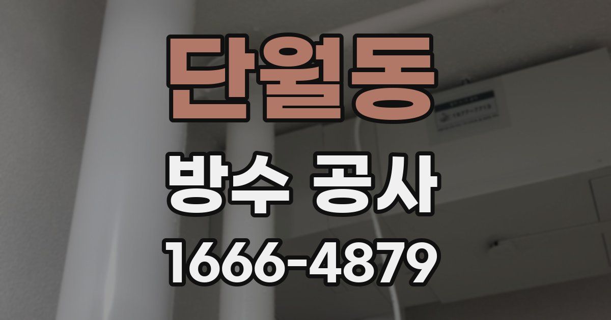 단월동 방수 공사
