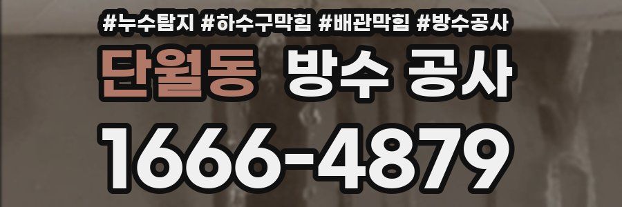 단월동 방수 공사