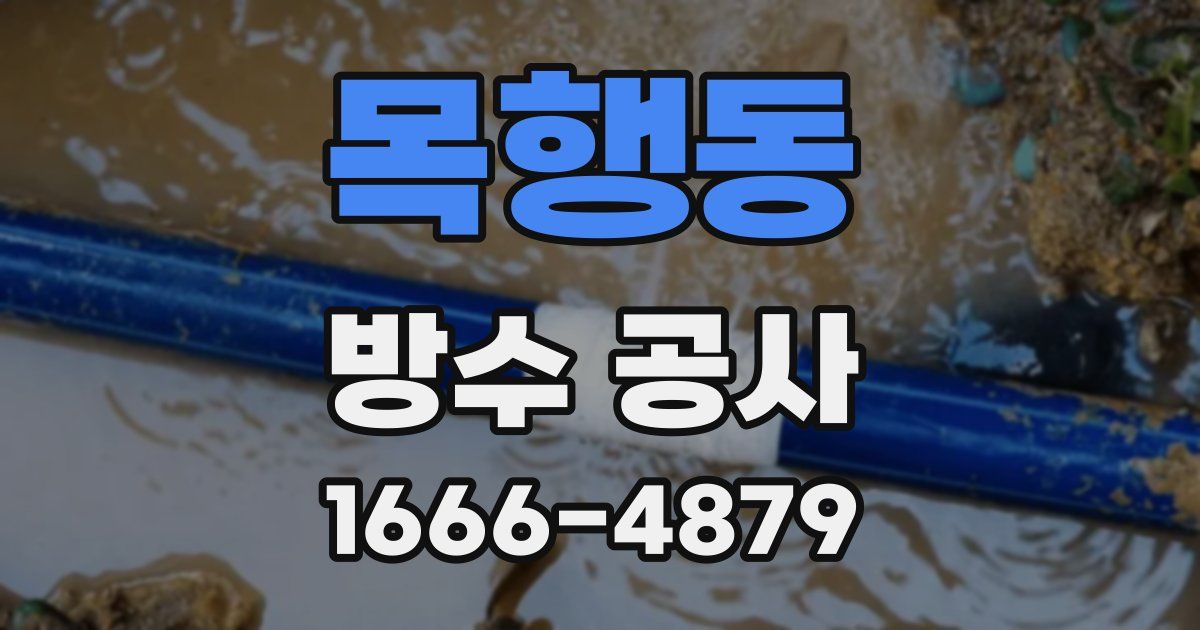 목행동 방수 공사