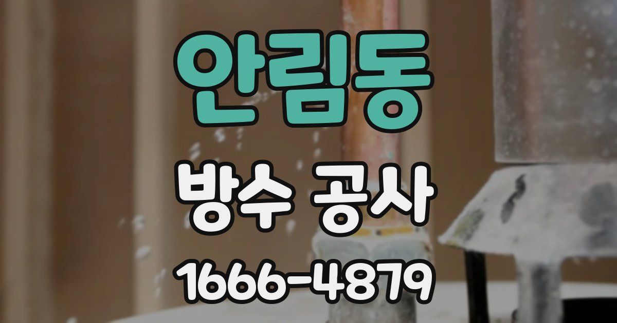 안림동 방수 공사