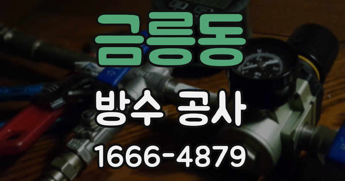 금릉동 방수 공사