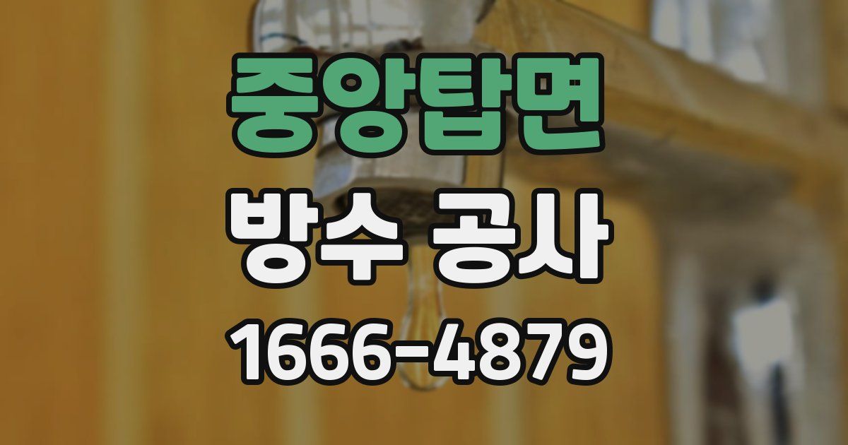 중앙탑면 방수 공사