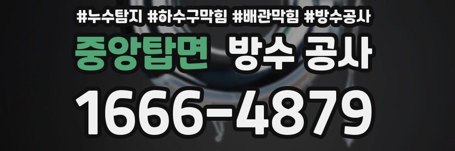 중앙탑면 방수 공사