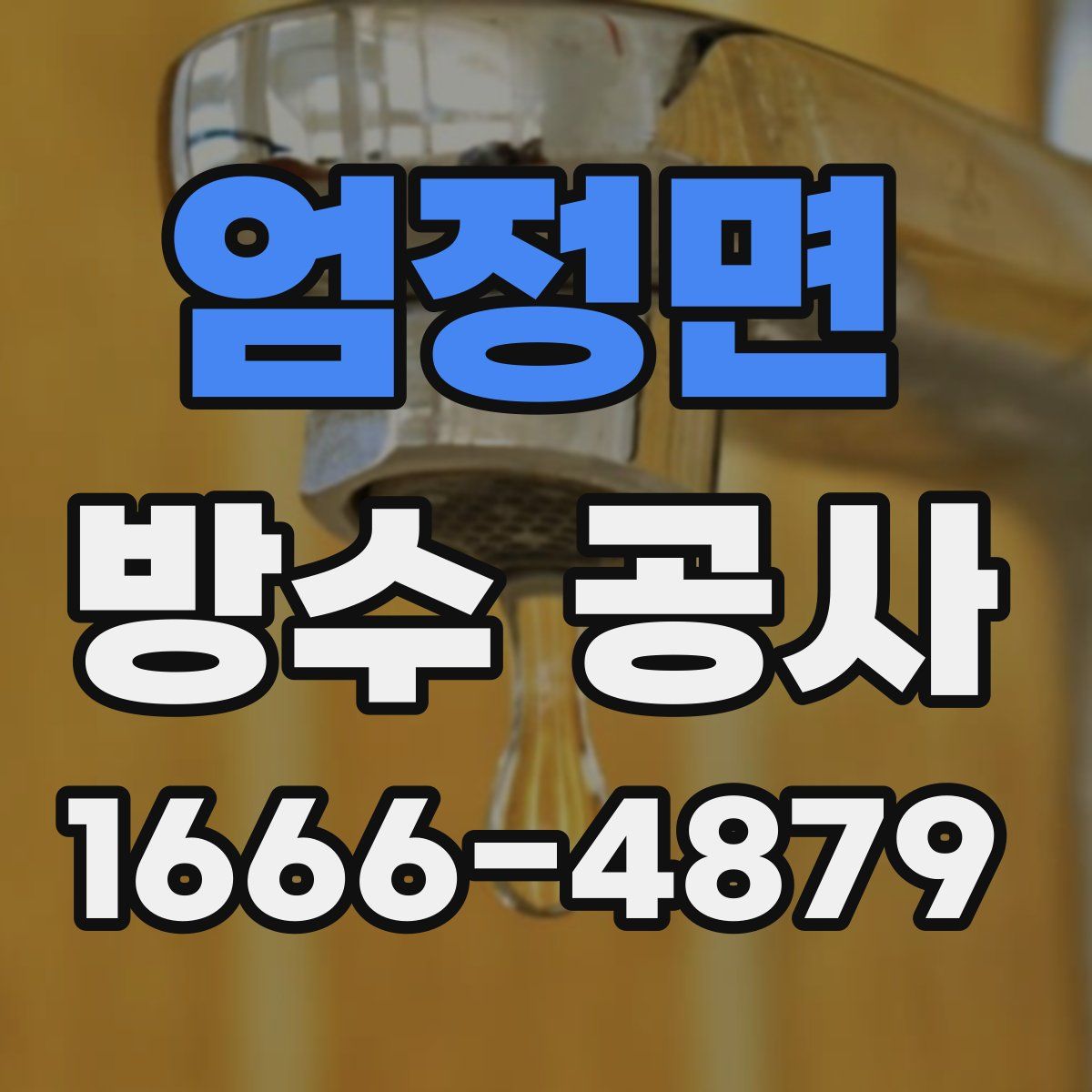엄정면 방수 공사