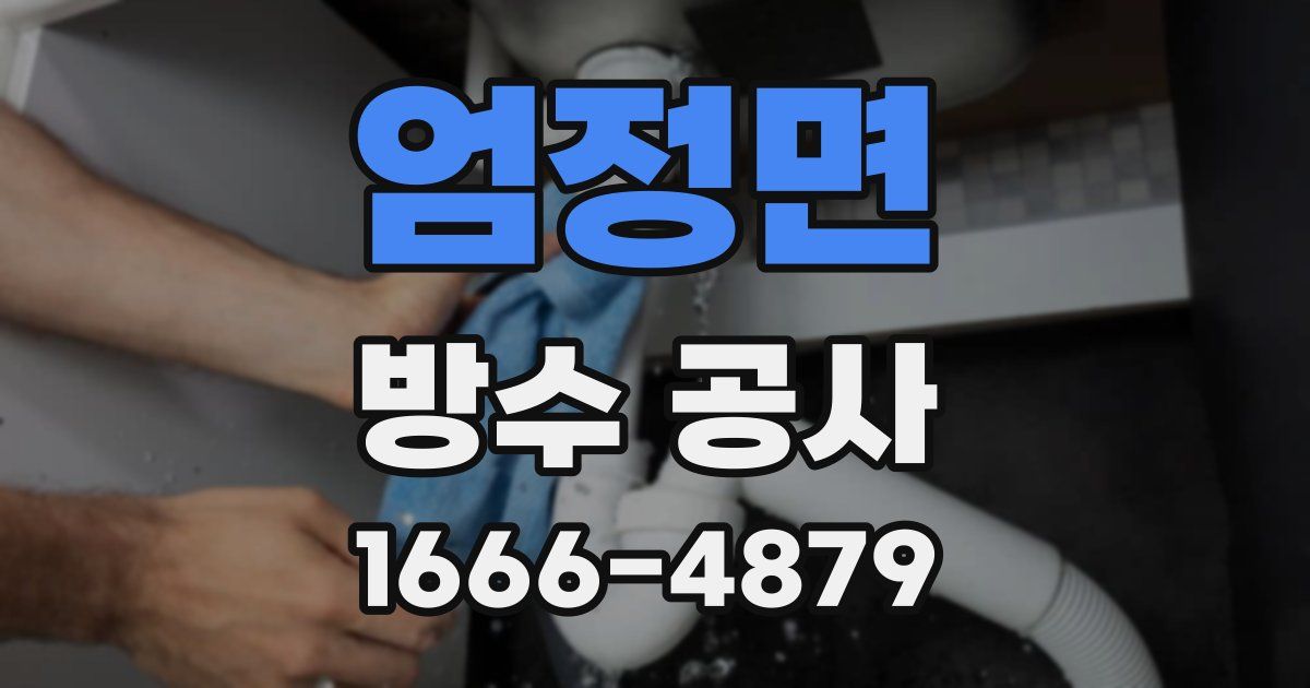 엄정면 방수 공사