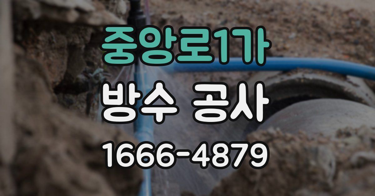 중앙로1가 방수 공사