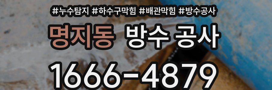 명지동 방수 공사