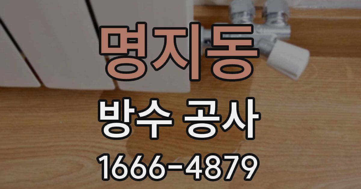 명지동 방수 공사