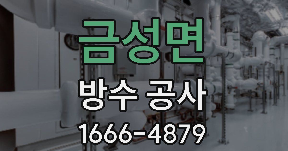 금성면 방수 공사