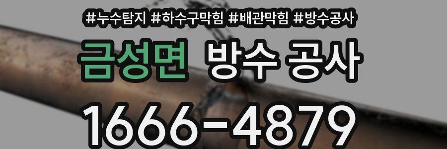 금성면 방수 공사