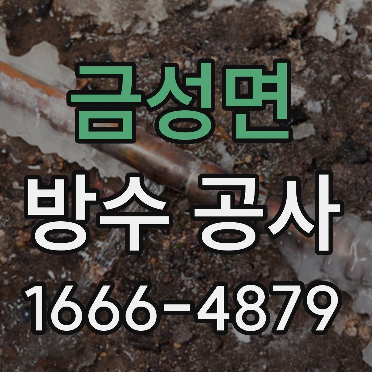 금성면 방수 공사