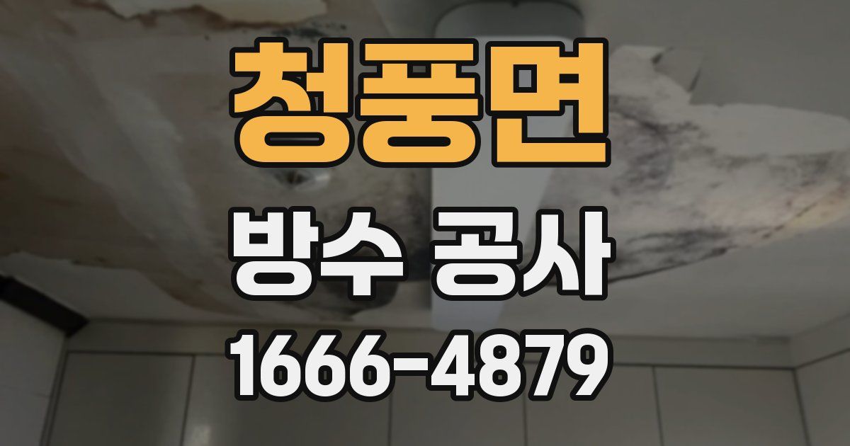 청풍면 방수 공사