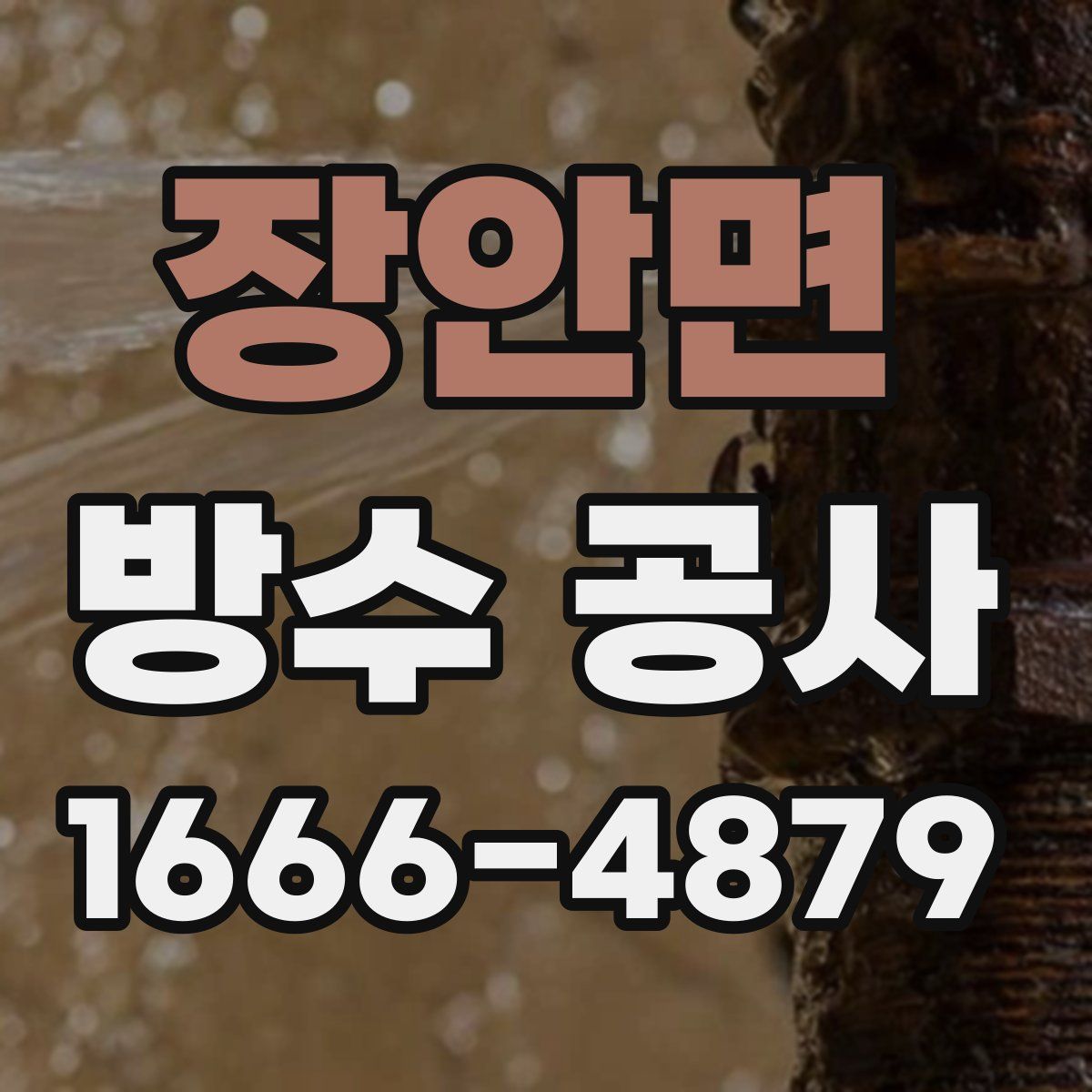장안면 방수 공사