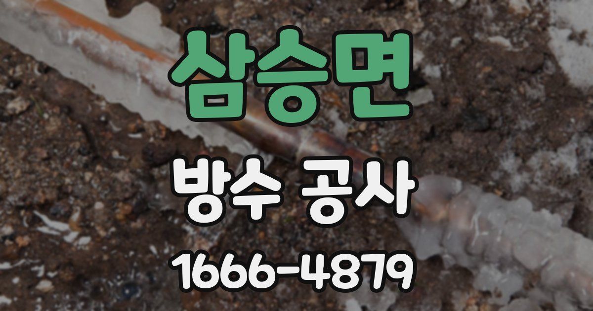 삼승면 방수 공사