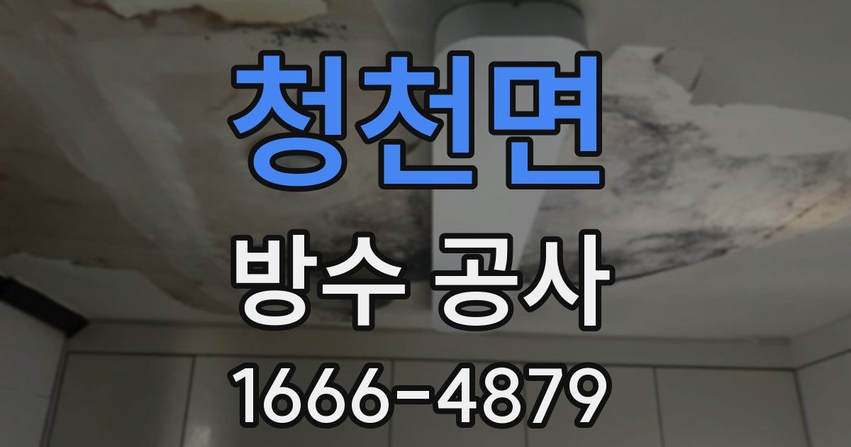 청천면 방수 공사