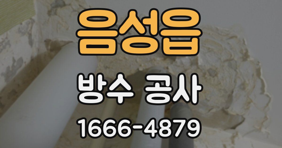 음성읍 방수 공사