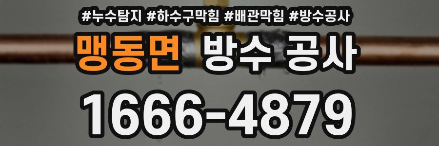 맹동면 방수 공사