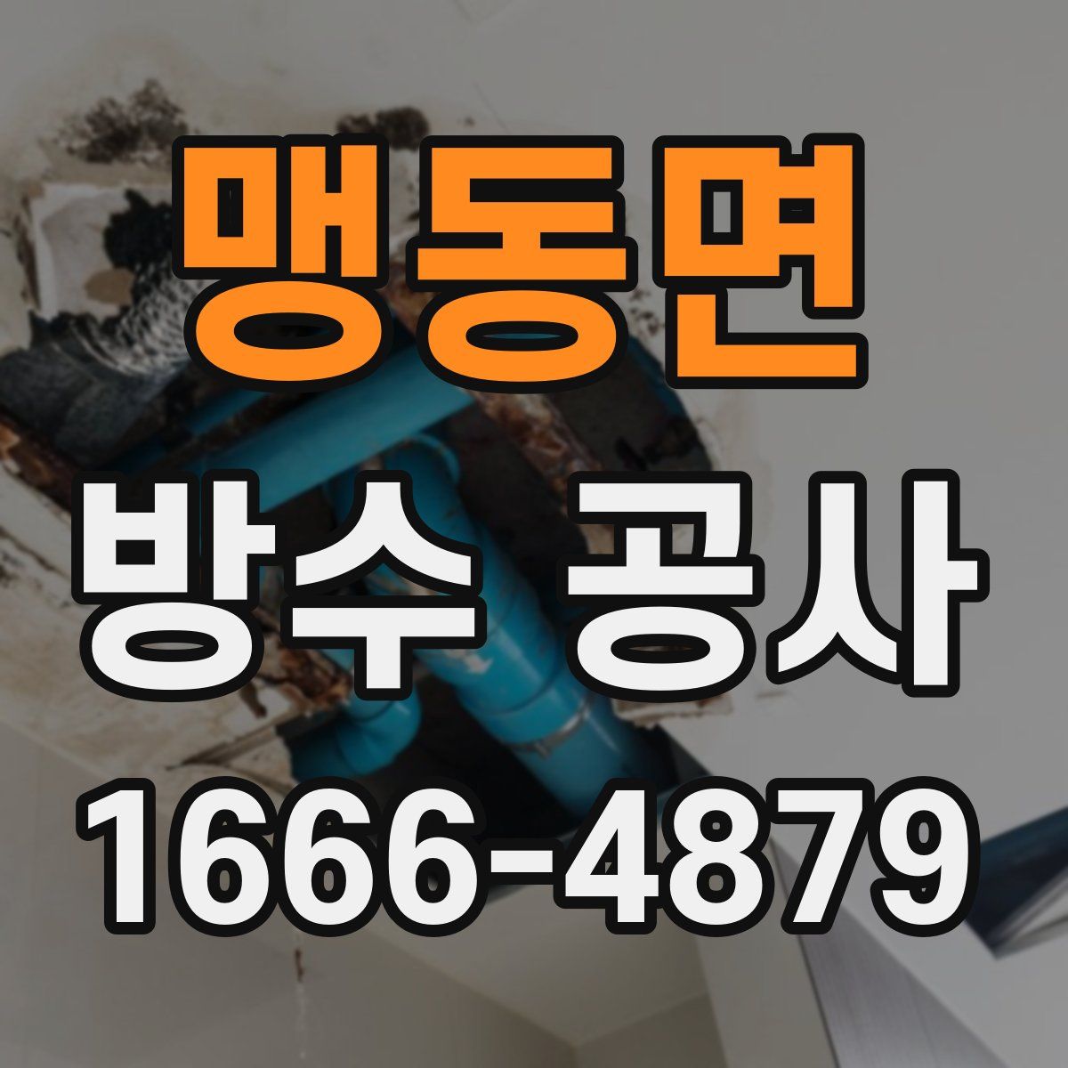 맹동면 방수 공사