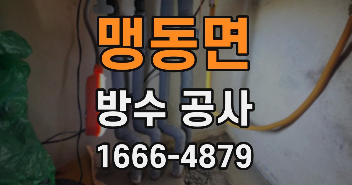 맹동면 방수 공사