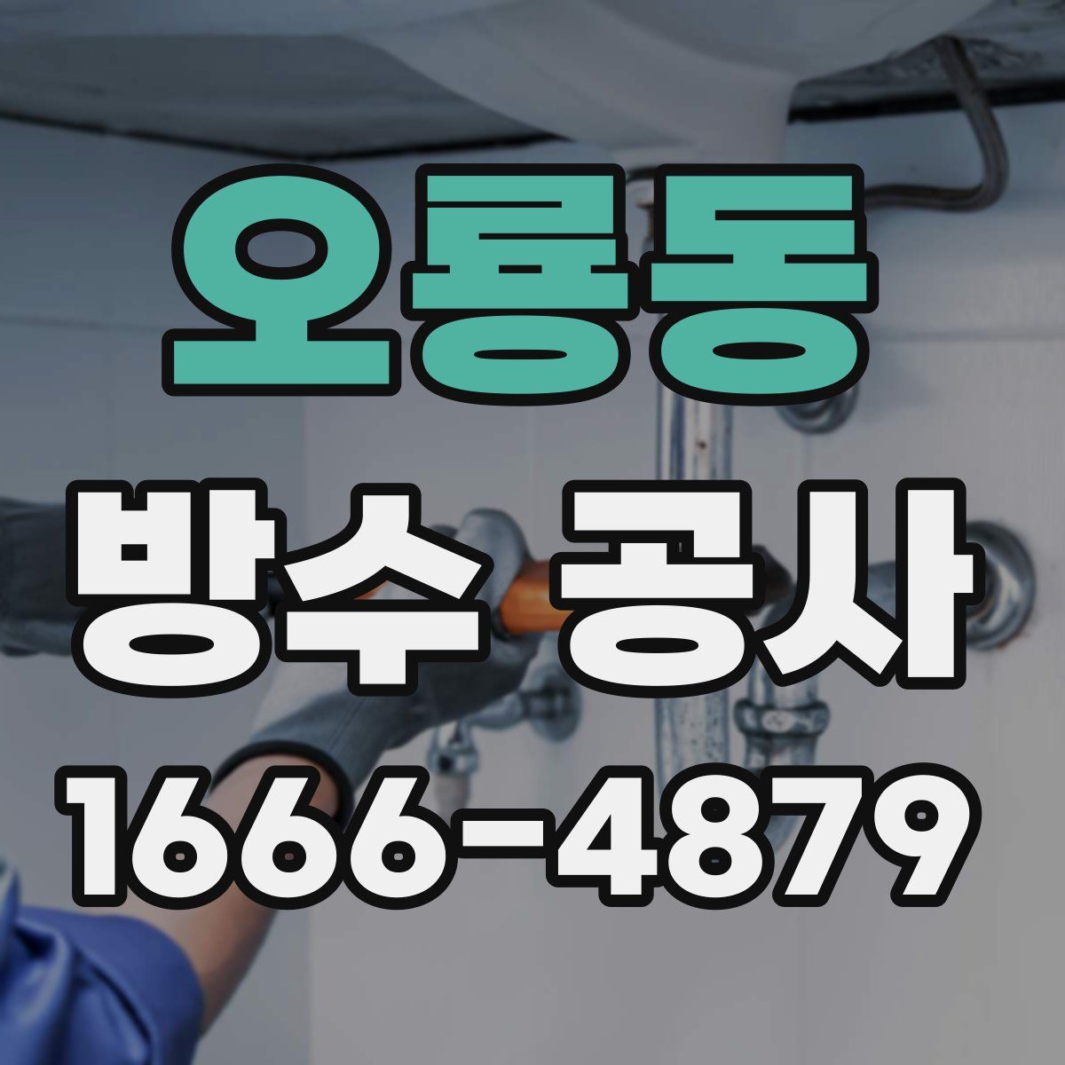 오룡동 방수 공사
