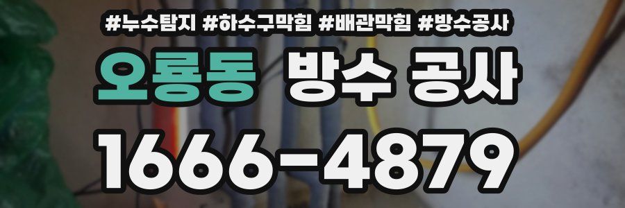 오룡동 방수 공사
