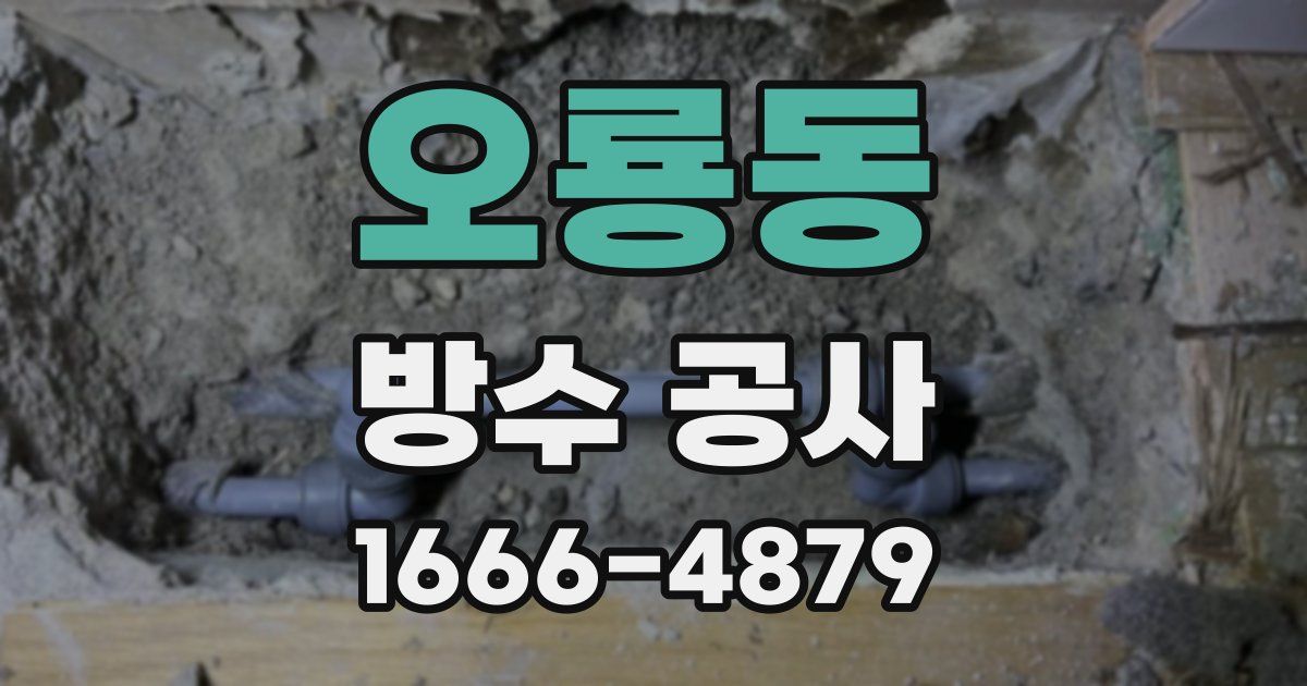 오룡동 방수 공사