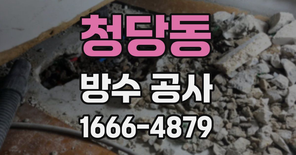 청당동 방수 공사
