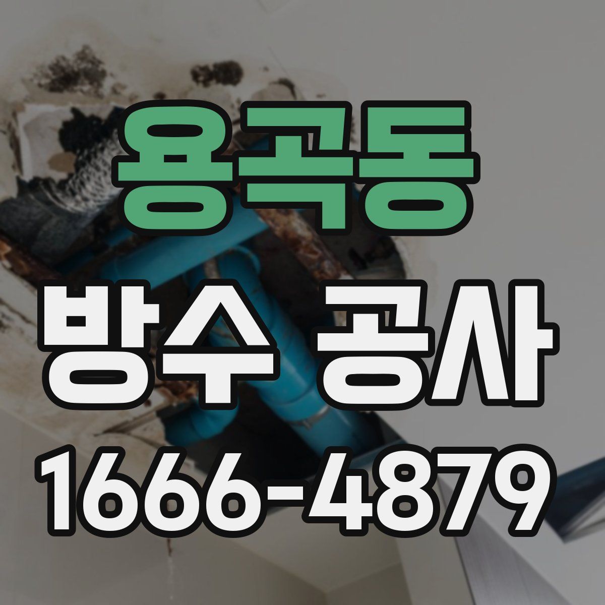 용곡동 방수 공사