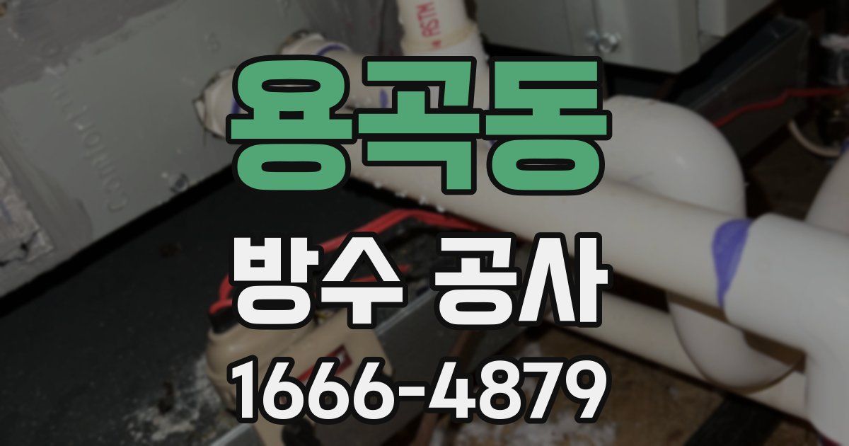 용곡동 방수 공사