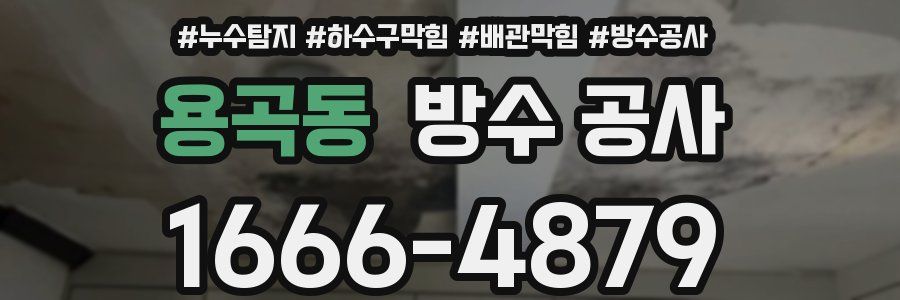 용곡동 방수 공사